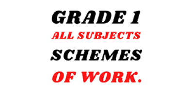 Scheme Of Work Grade 1  2018